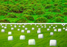 Homenaje a Philippe Starck