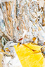 Compressed Life 22