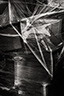 Compressed Life 27