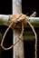 Links 4